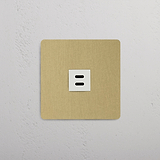 Snelladende enkele USB 30W-module in Antiek Messing wit op witte achtergrond