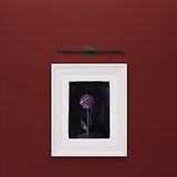 Une peinture de fleurs violettes encadrée de blanc sur un mur rouge est élégamment éclairée par le Taylor Picture Light 400 mm.