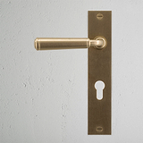 Digby Poignée de Porte à Ressort à Plaque Longue et Trou de Serrure Euro - Laiton Ancien