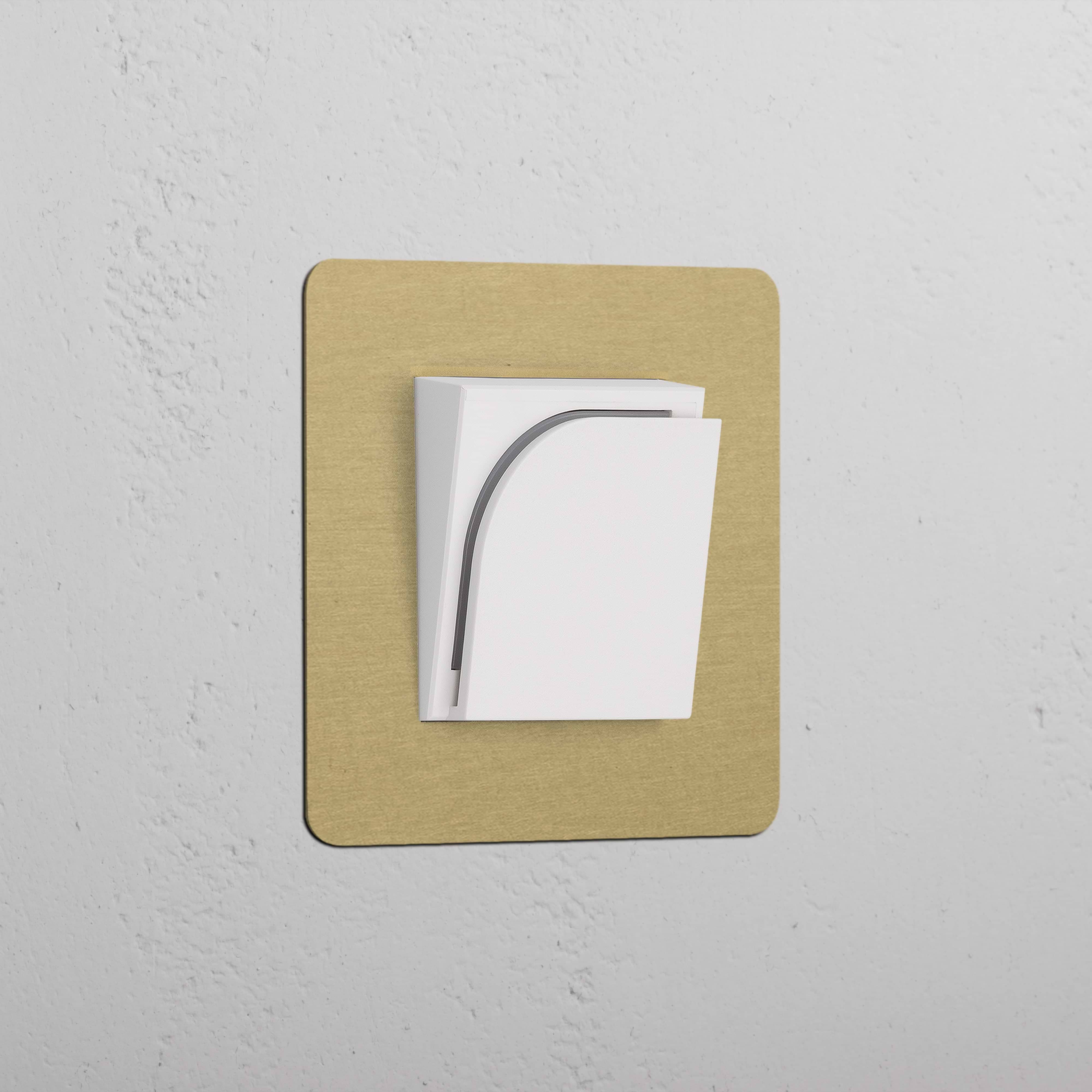 Lecteur de carte pour hôtel en laiton ancien avec insert blanc, monté sur plaque simple.