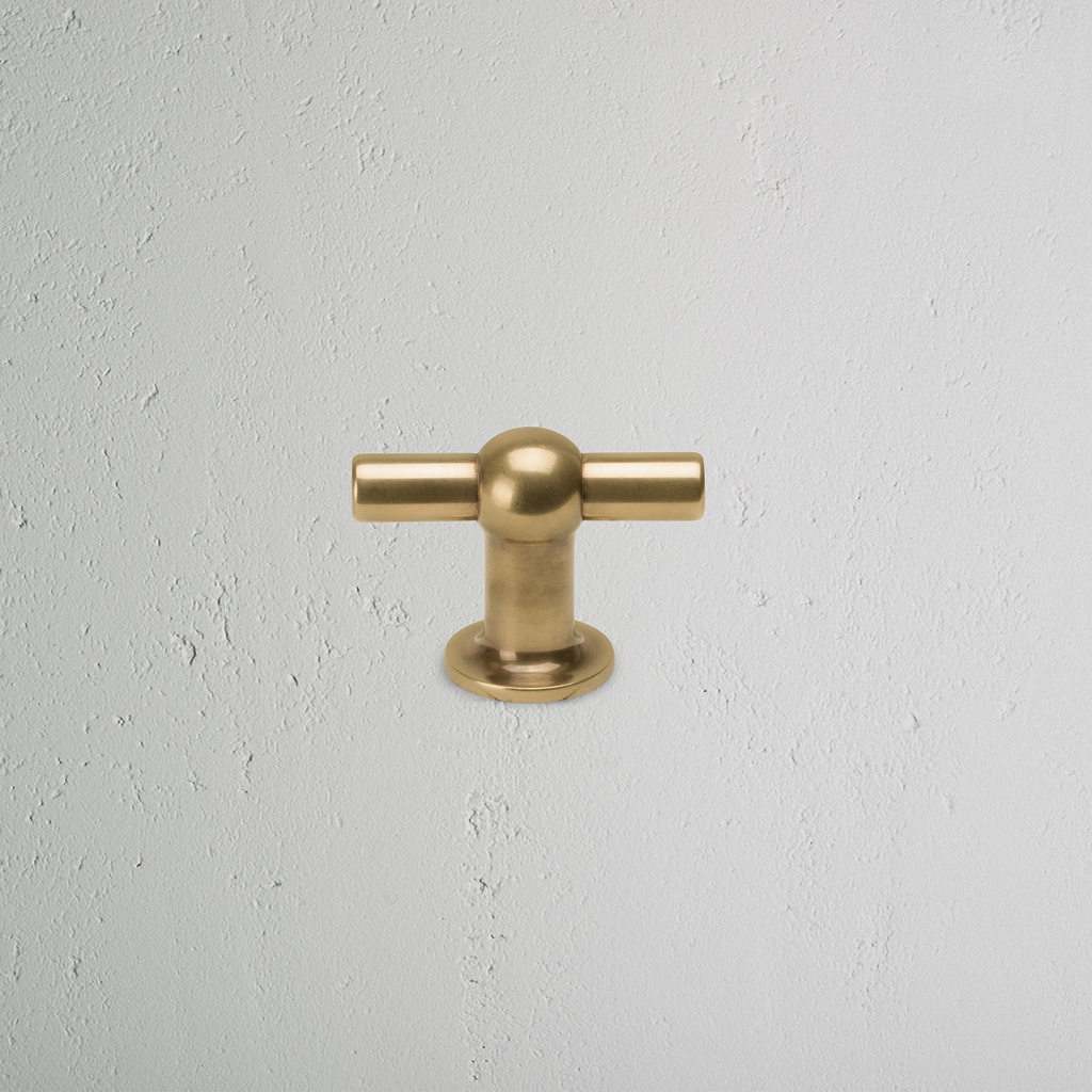 Cupboard Furniture Vintage Harper T-Bar Antique Brass