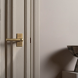 Harper Poignée de Porte sans Ressort à Plaque Courte - Laiton Ancien