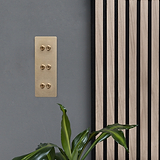 Interrupteur VV à Levier x6 Vertical, Plaque Triple en Laiton Ancien, monté sur mur gris avec décoration élégante.
