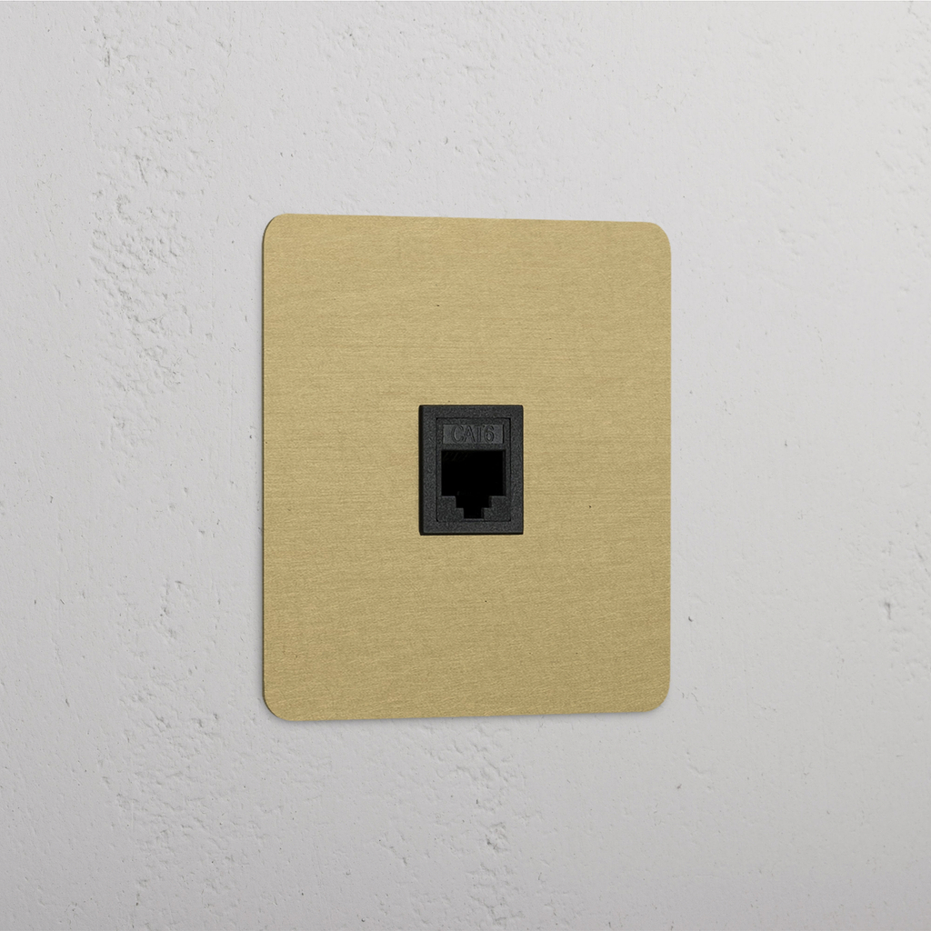 Antique Brass Black Single RJ45 Module