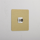Single TV Module in Antique Brass White - Crystal Clear Transmission