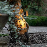 Projecteur Sol Ealing - Projecteur d'extérieur en bronze illuminant un arbre dans un jardin avec verdure luxuriante et chemin de pierre.