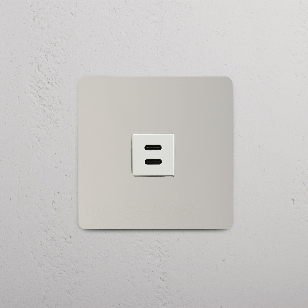 USB 30W Modul – Poliertes Nickel + Weiß – auf weißem Hintergrund