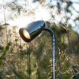 Ealing Wegestrahler-Außenlampe aus poliertem Nickel, inmitten von hohem Gras platziert, durch das das Sonnenlicht fällt.