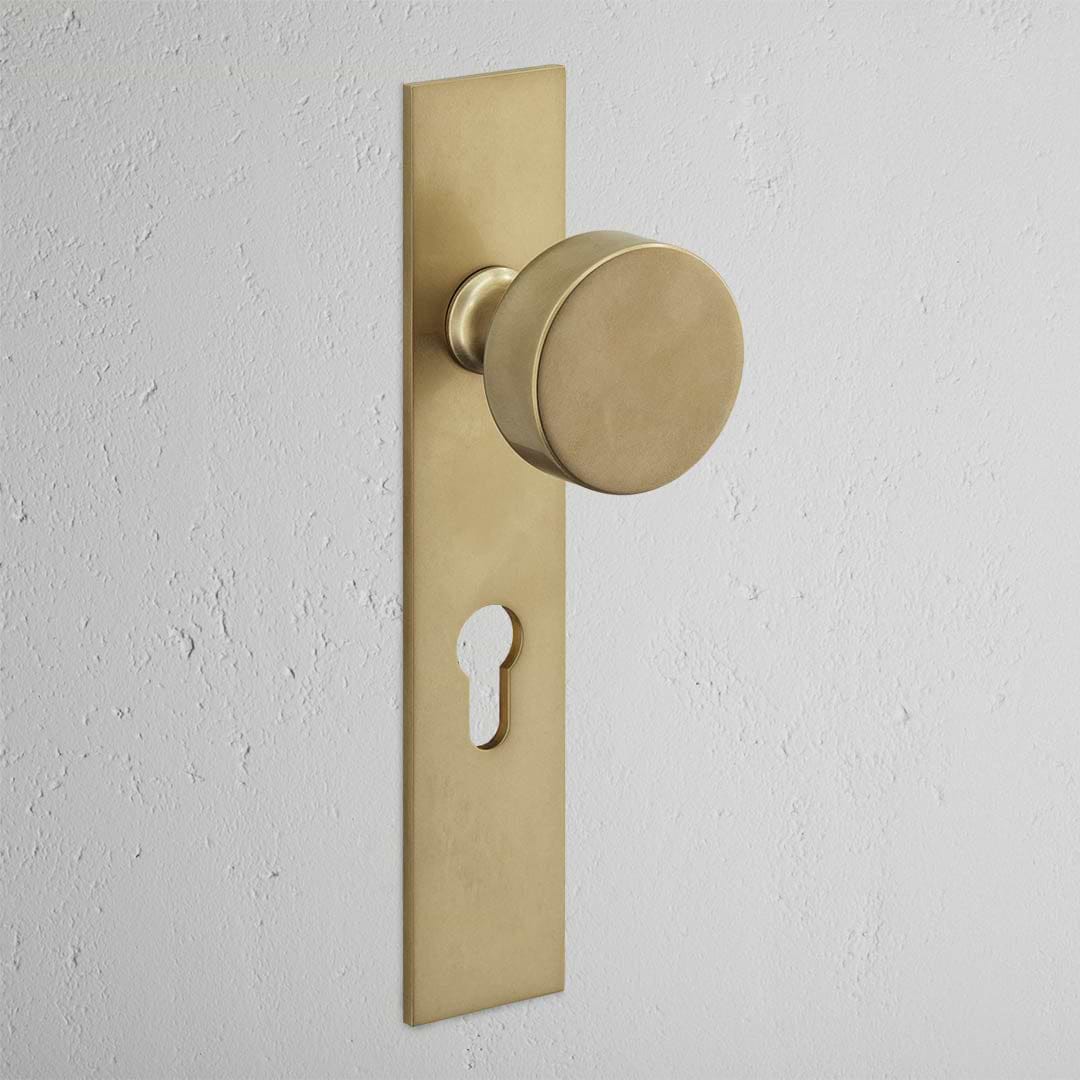 Pomo para puertas Onslow con placa larga (con muelle) y cerradura europea - Latón antiguo