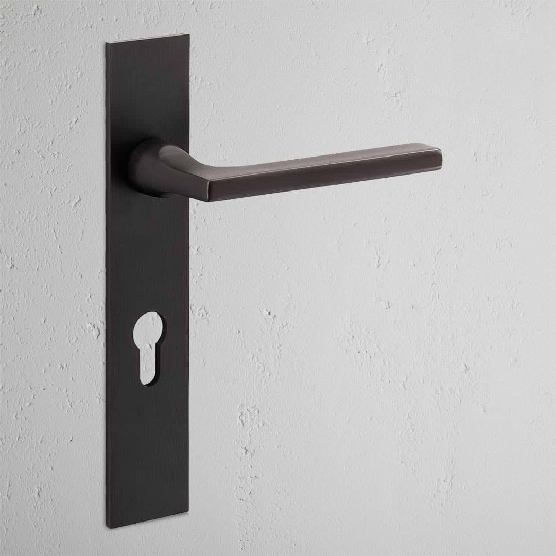 Manilla para puertas Clayton con placa larga (con muelle) y cerradura europea - Bronce