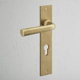 Manilla para puertas Apsley con placa larga (con muelle) y cerradura europea - Latón antiguo