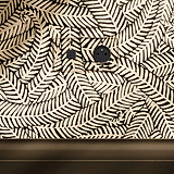 Prise double transparente avec insert noir dotée d'une prise ronde USB-C et Type E de 30 W.