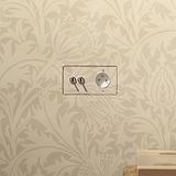 Transparent/Nickel Poli Interrupteur VV à Levier x2 & Prise Type E sur Plaque Double, situé dans un décor moderne.