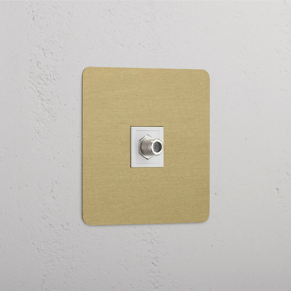 Single Satellite Module in Antique Brass White - Excellent Reception