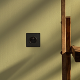 Prise de Courant Ronde Type E (Plaque Simple) en Bronze avec Insert Noir contre un mur végétalisé.
