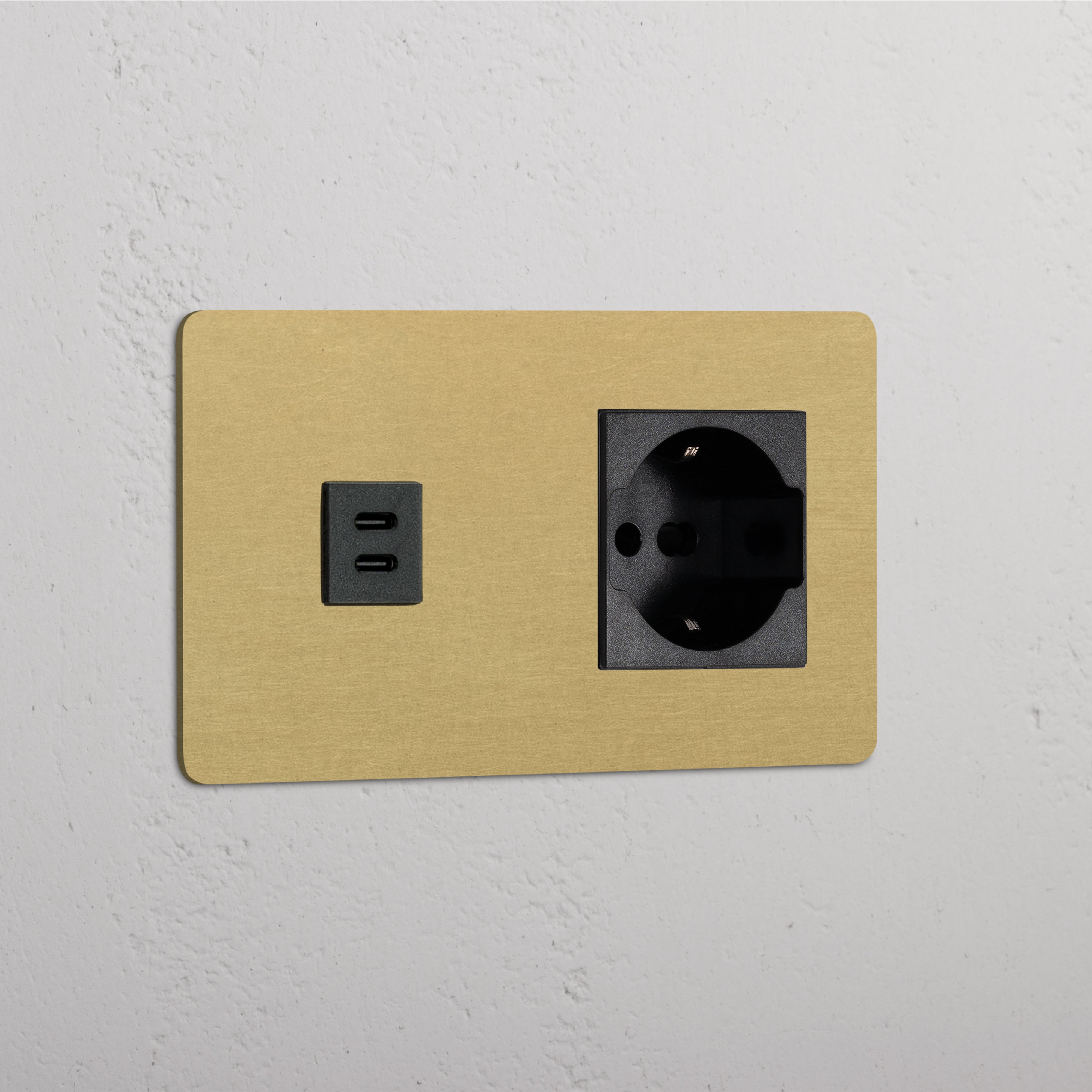 Modulo Doppio USB 30W & Schuko/Bipasso in Ottone Antico Nero
