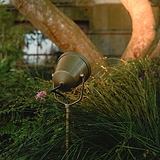 Cambridge Proiettore da Terra in ottone antico installato tra erba e fiori, illumina un tronco d'albero in giardino.