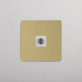 Módulo de satélite individual de alto desempenho em Latão Antigo Branco em fundo branco