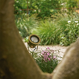 Cambridge Holofote de solo em Latão Antigo instalado no jardim entre folhagem verde e flores roxas.