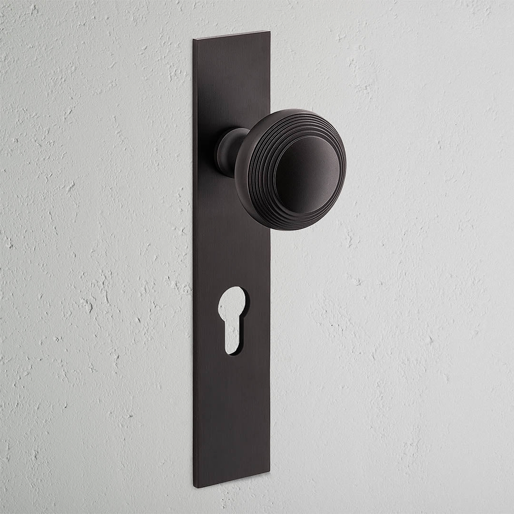 Poplar Long Plate Sprung Door Knob & Euro Lock - Bronze
