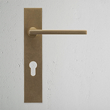 Clayton Long Plate Sprung Door Handle & Euro Lock Antique Brass Finish on White Background Front Facing
