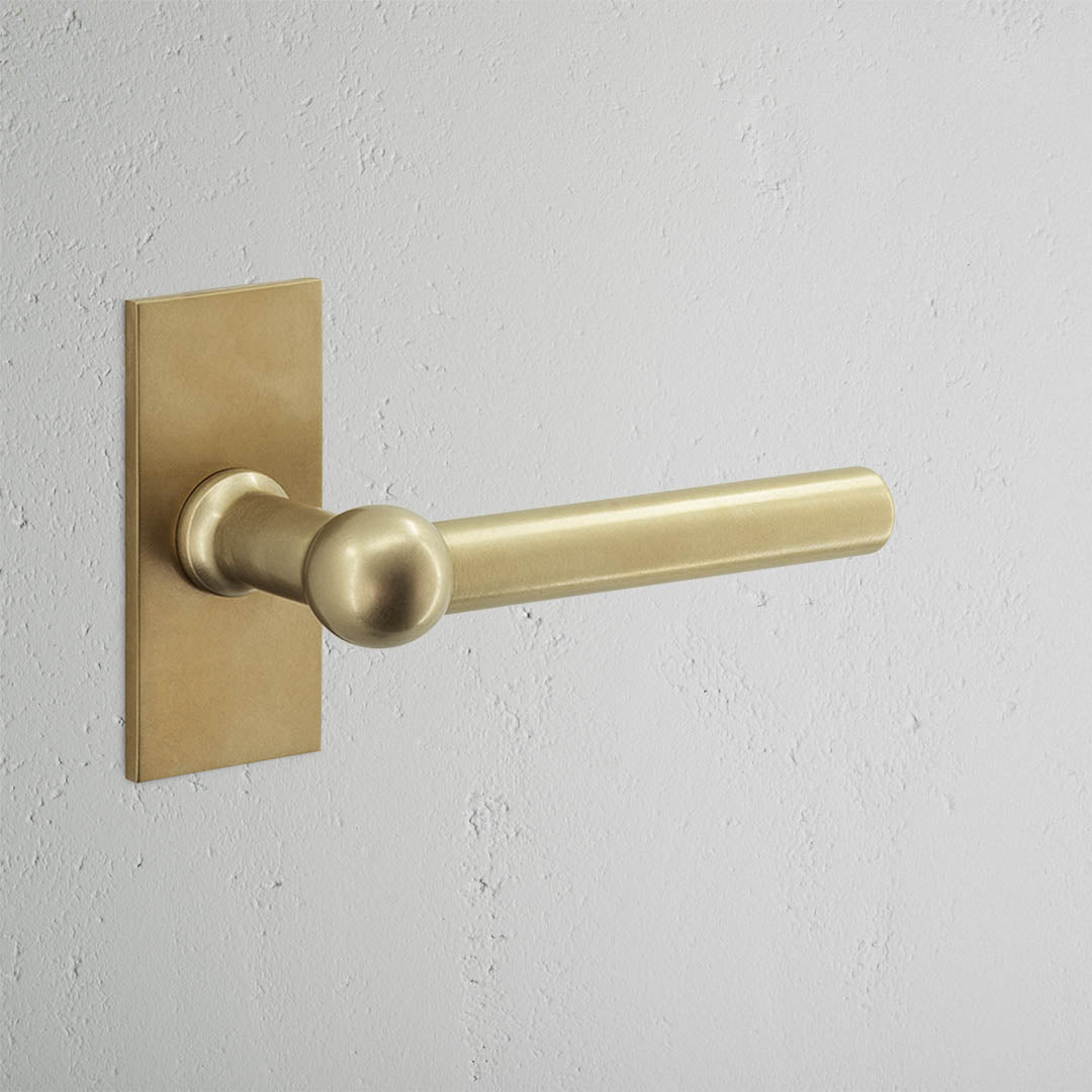 Harper Short Plate Sprung Door Handle - Antique Brass