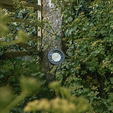 Bronze Cambridge Ground Floodlight installed in outdoor garden bed among green plants, near a wooden fence.