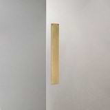 Corston Push Plate in Antique Brass on White Background