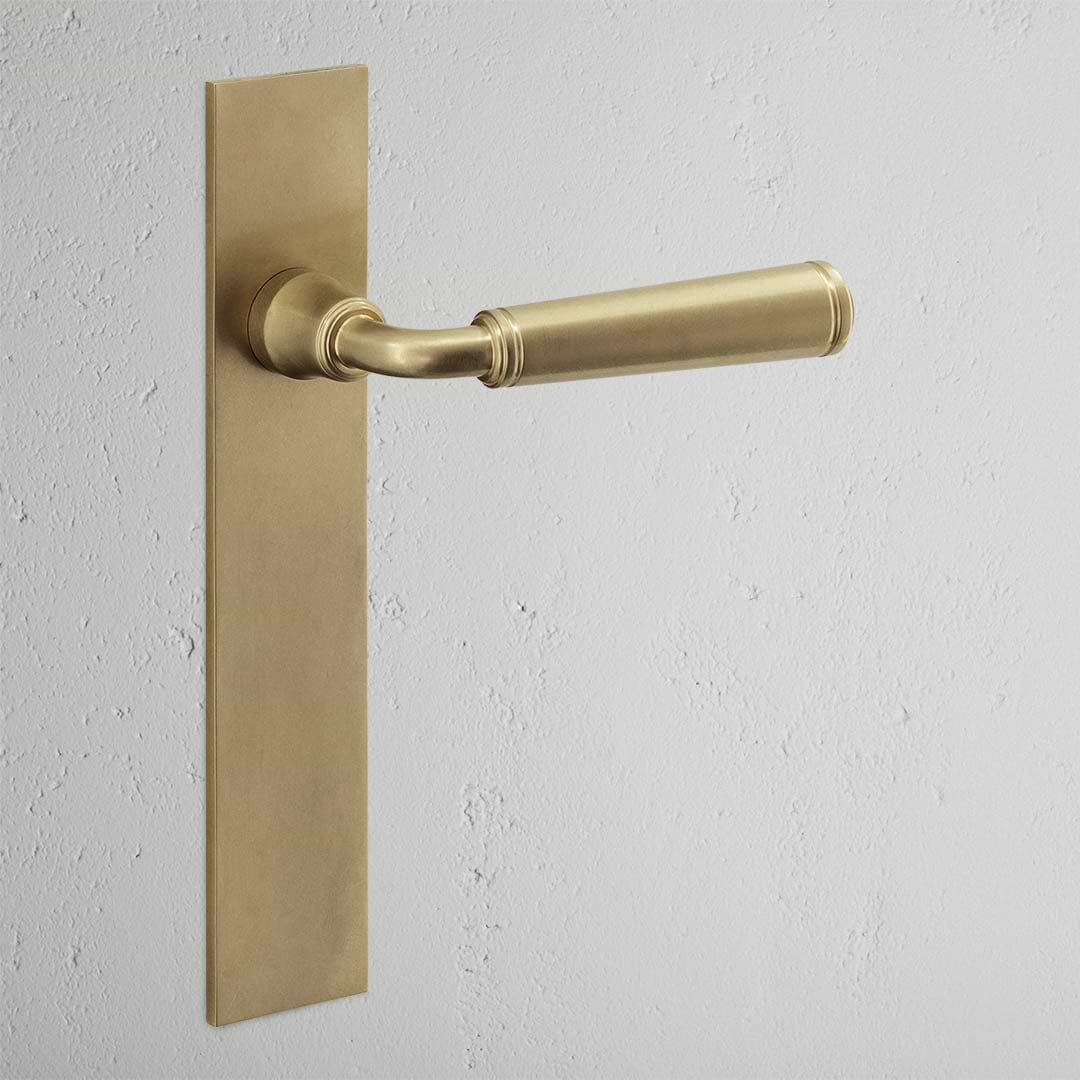 Digby Long Plate Sprung Door Handle Antique Brass Finish on White Background 