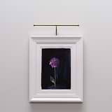 Harrow Picture Light 400mm - Antique Brass 