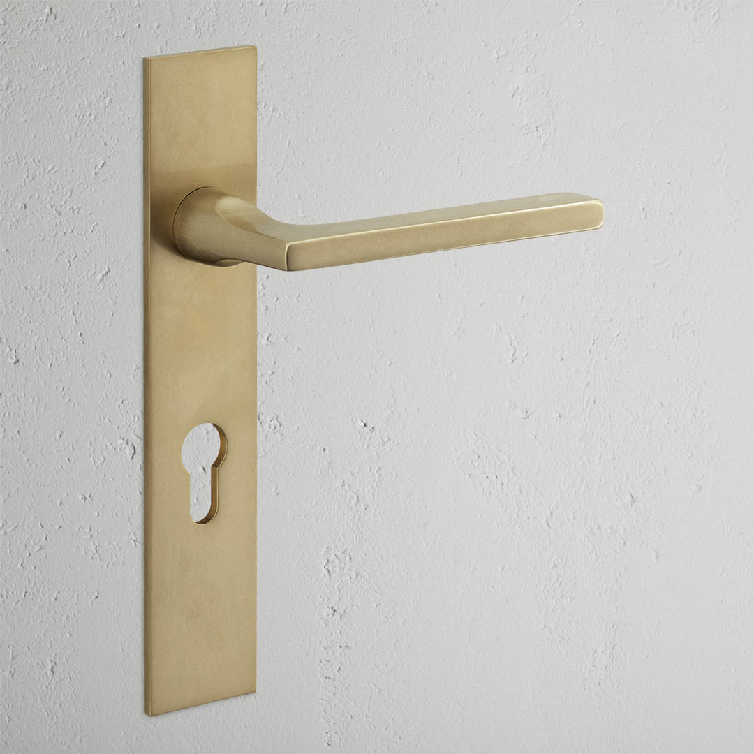 Clayton Long Plate Sprung Door Handle & Euro Lock - Antique Brass