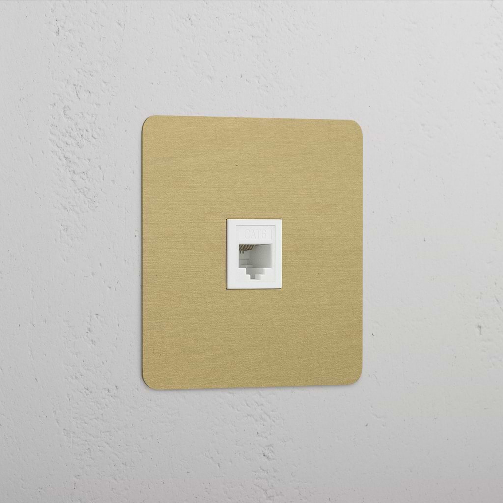 Single RJ45 Module in Antique Brass White - Reliable Network Connection