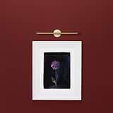 Taylor Picture Light 400mm - Antique Brass 
