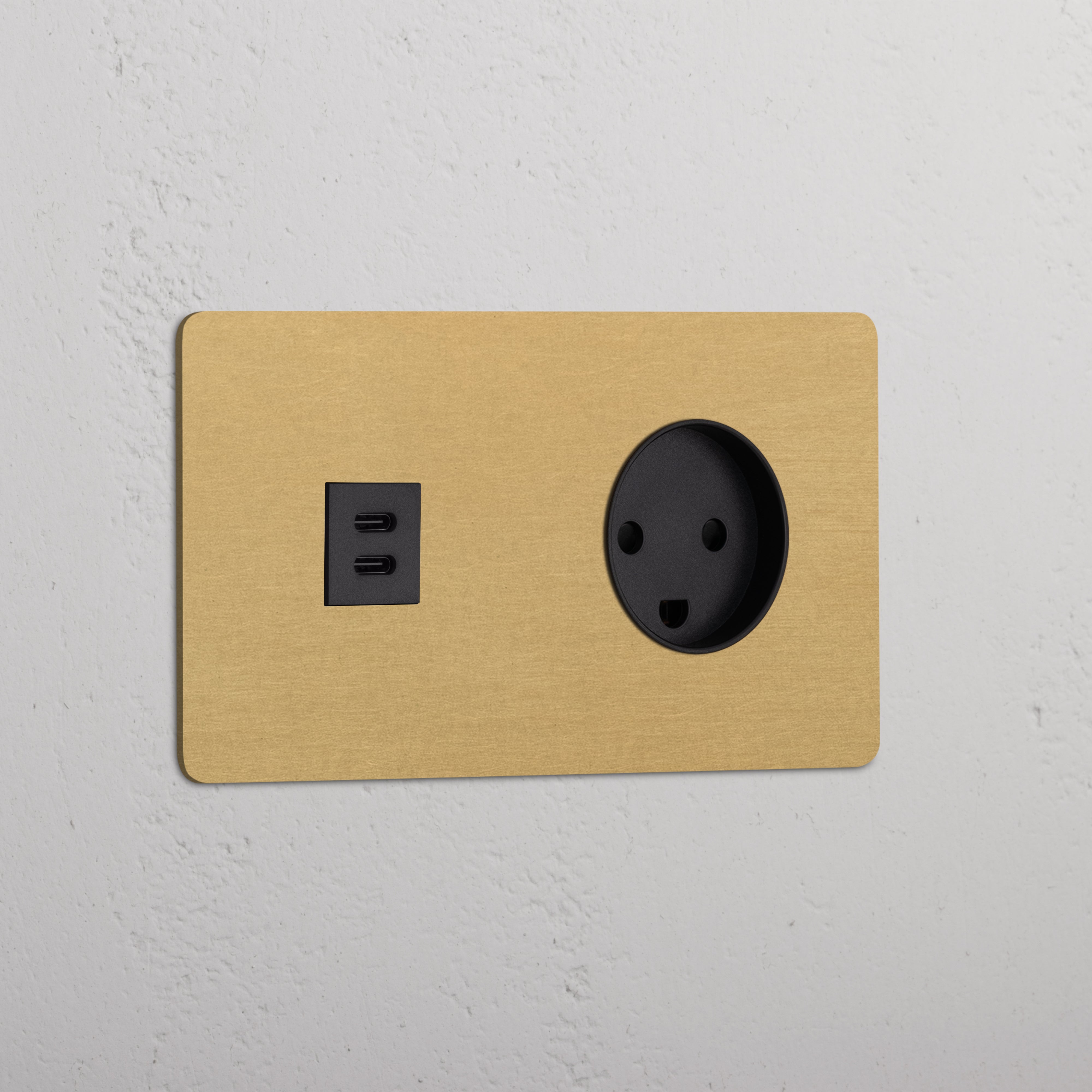 Double USB 30W & Danish Module Round - Antique Brass Black