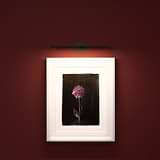 Taylor Picture Light 400mm - Bronze 
