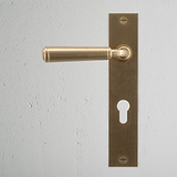 Digby Long Plate Sprung Door Handle & Euro Lock Antique Brass Finish on White Background right Facing Front View