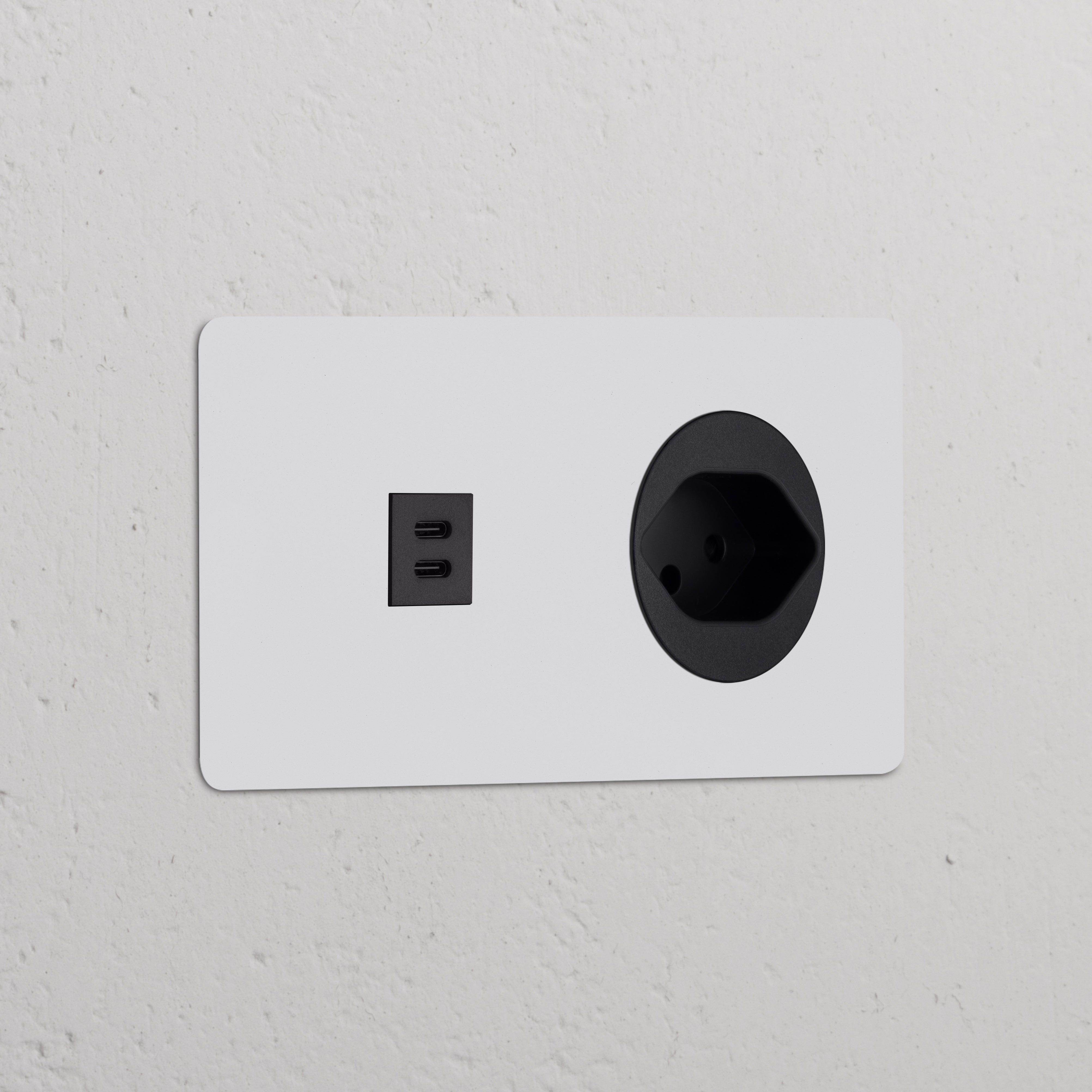 Sleek Double USB 30W & Swiss Type J Power Module in round, paintable black design for wall sockets & modules.