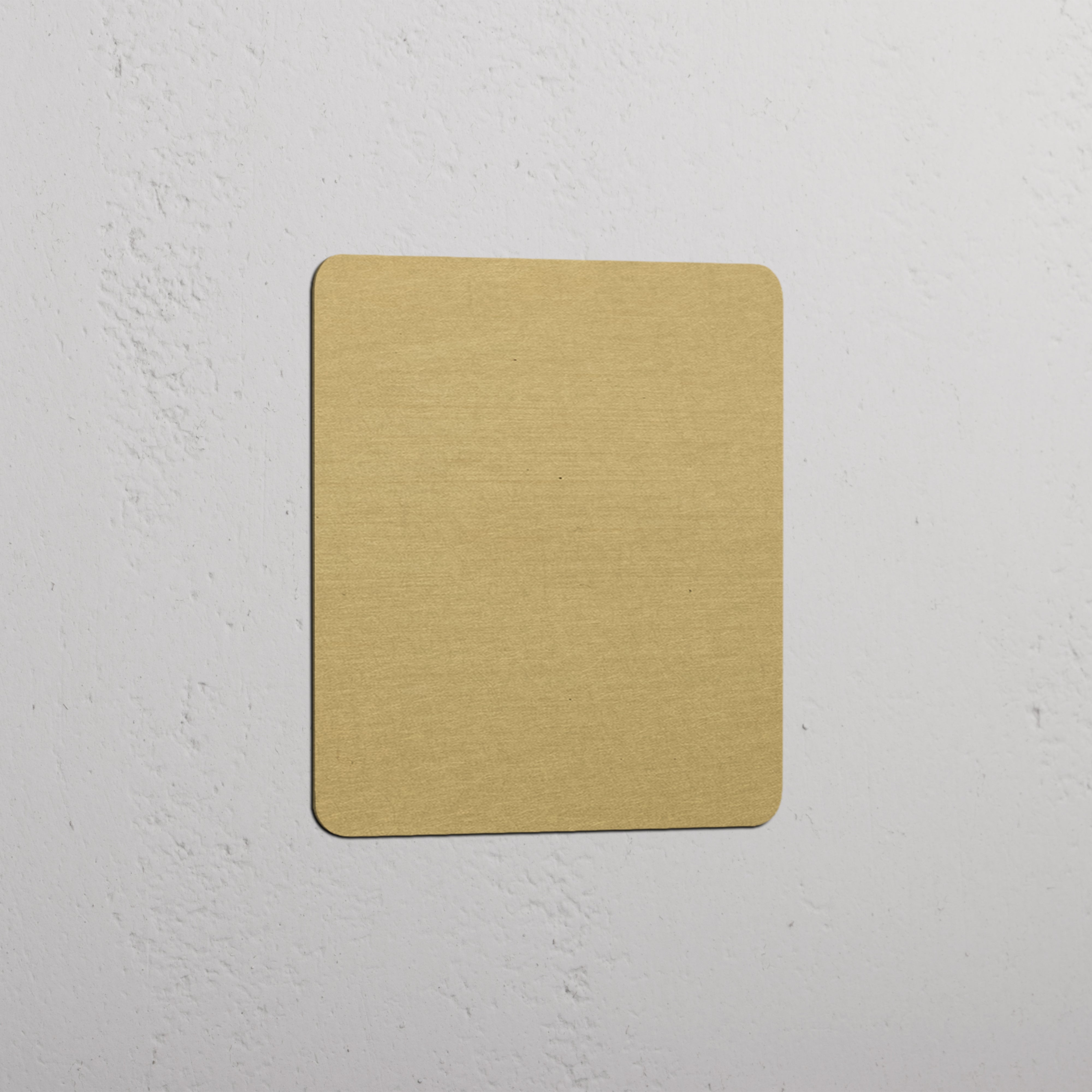 Blank Plate in Single Design with Antique Brass Finish