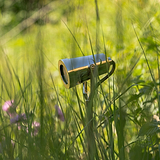 Cambridge Ground Spotlight 24V in polished nickel, installed outdoors among green grass and foliage.