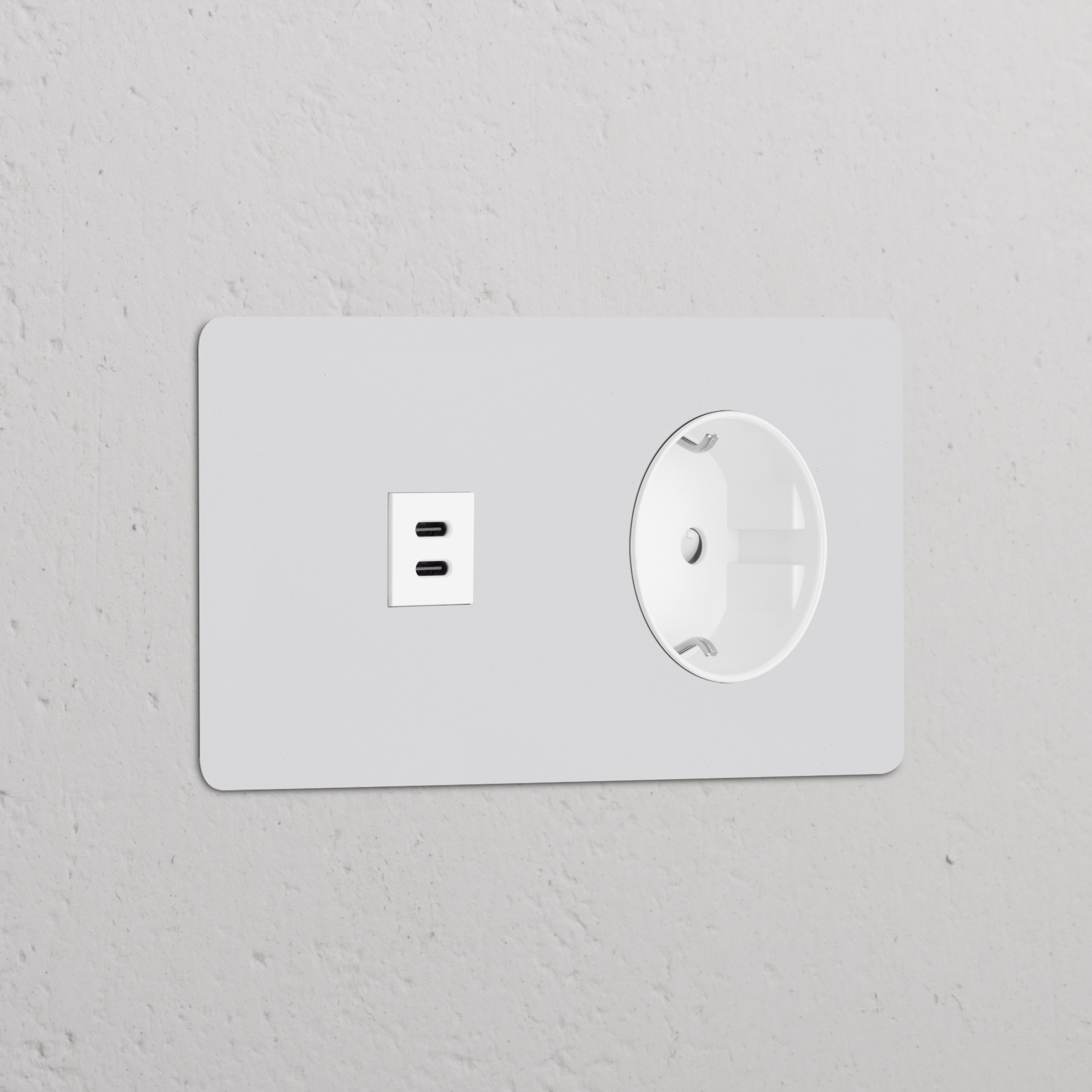 Paintable white power module with Schuko Type F socket and double USB 30W ports, for use in modular systems.