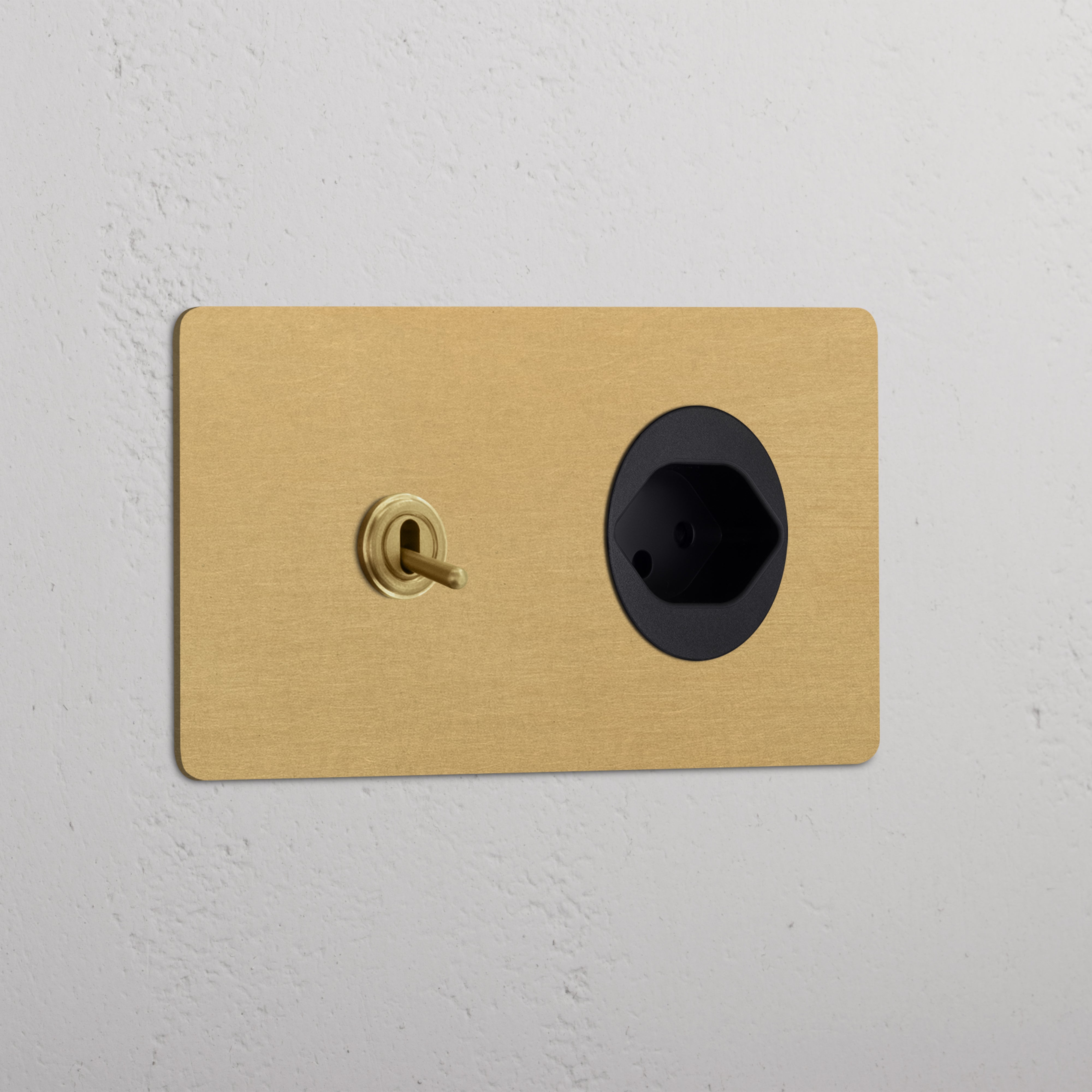 Double Toggle & Swiss Module Round - Antique Brass Black  