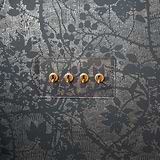 Double 4x Toggle Switch - Clear Antique Brass