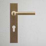 Harper Long Plate Sprung Door Handle & Euro Lock Antique Brass Finish on White Background Front Facing