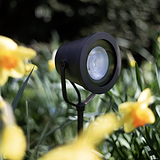 Cambridge Ground Floodlight – Bronze, installed outdoors among flowers and foliage in a garden setting.