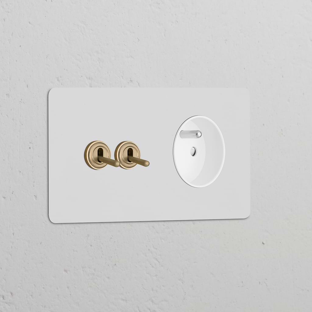 Double 2x Toggle Switch with French/Belgian Type E Module in Paintable Antique Brass on White.