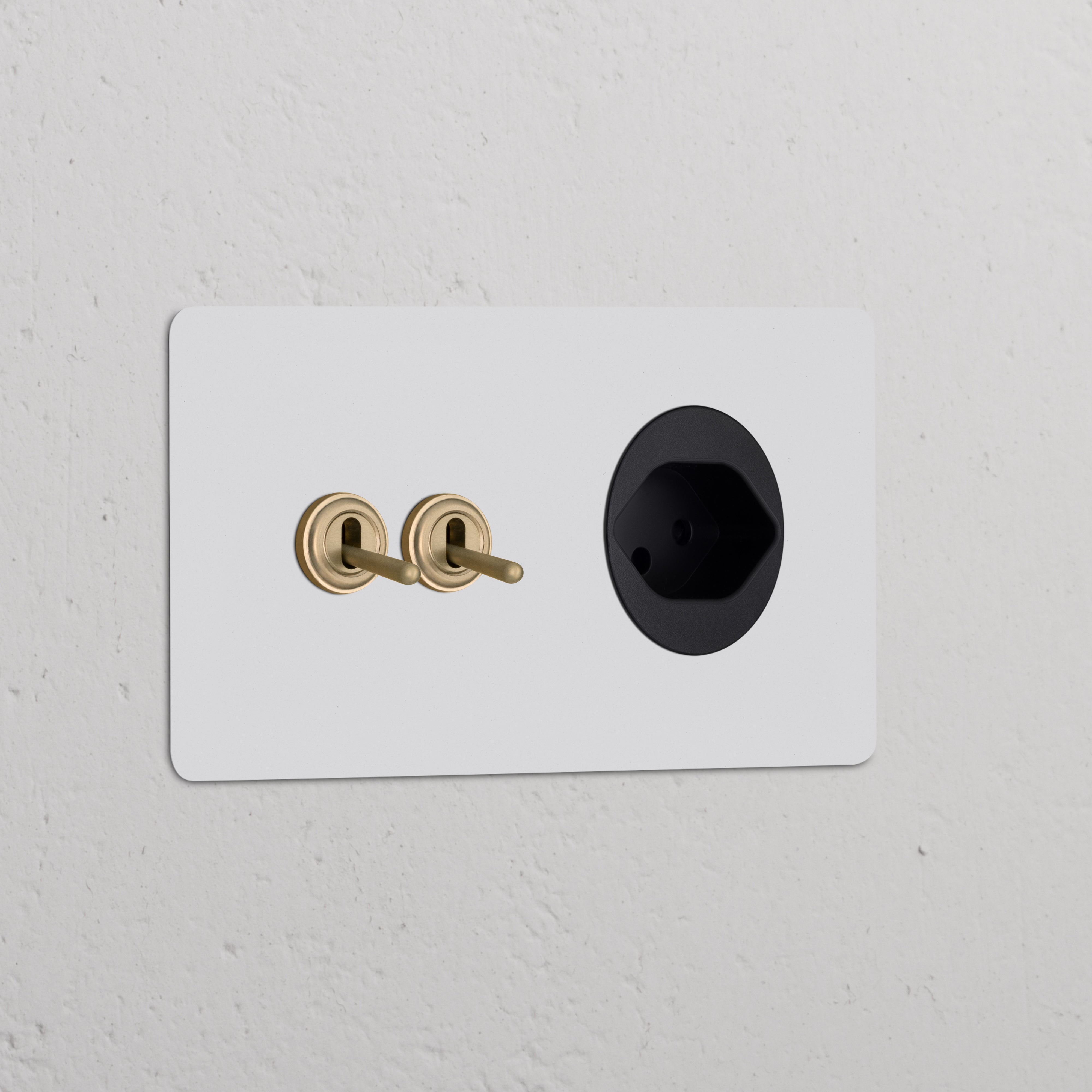 Paintable Antique Brass Black Double 2x Toggle Switch + Swiss Type J Power Module, round, on wall.