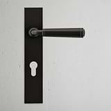 Digby Long Plate Sprung Door Handle & Euro Lock Bronze Finish on White Background Front Facing