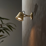 Cambridge Wall Floodlight in antique brass mounted on a textured gray outdoor wall, partially framed by foliage.