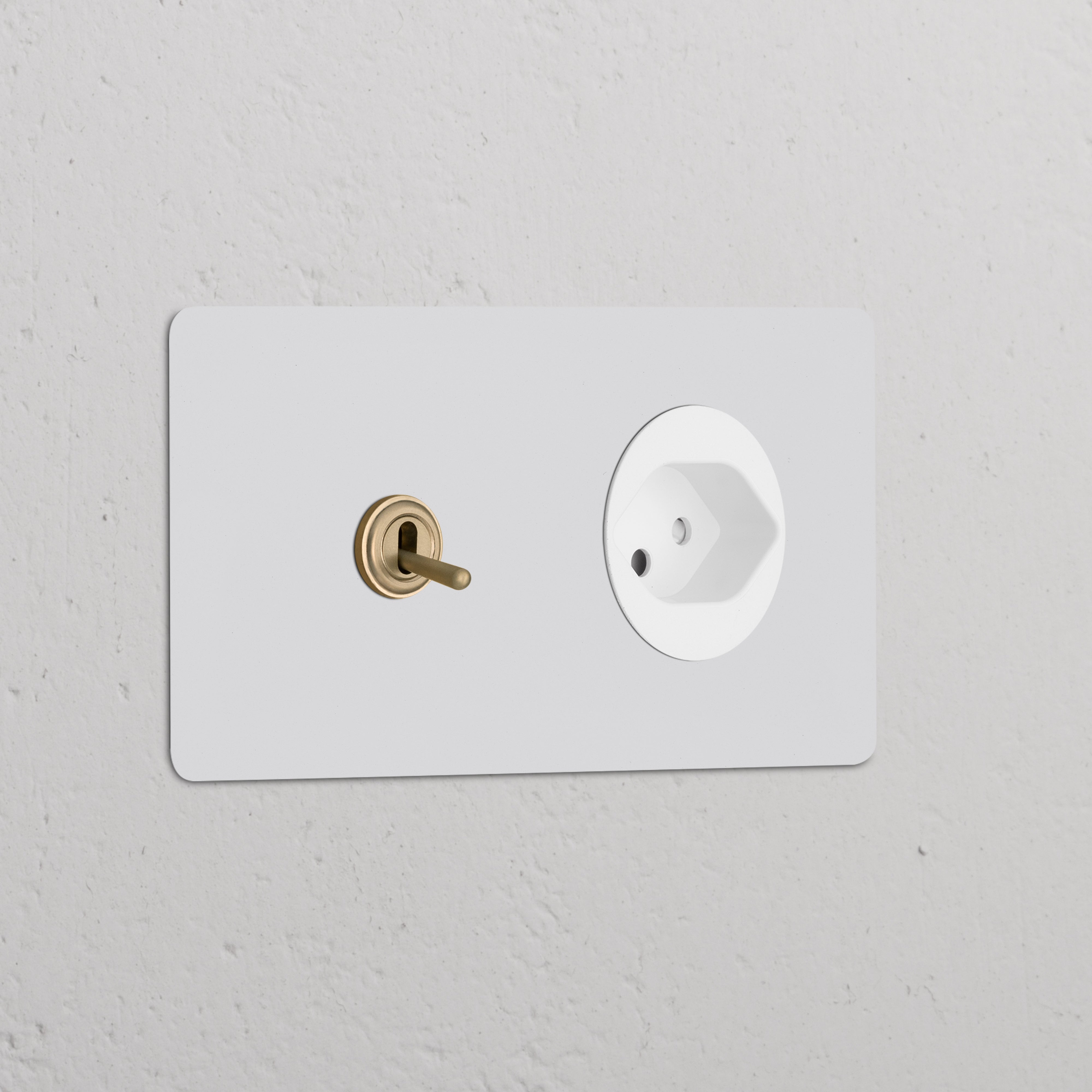 Double toggle switch and Swiss Type J power module, antique brass with white round socket and paintable finish.