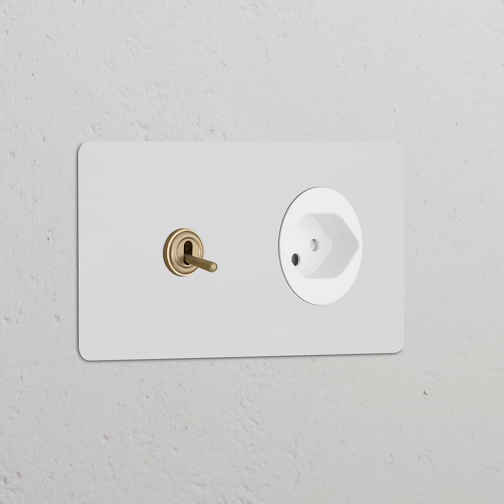 Double toggle switch and Swiss Type J power module, antique brass with white round socket and paintable finish.